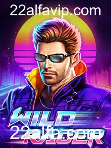Descubra o Mundo de WildRacer: Descrição e Regras do Jogo